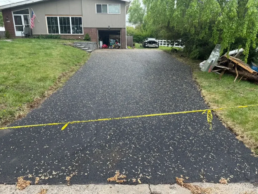Asphalt Driveway